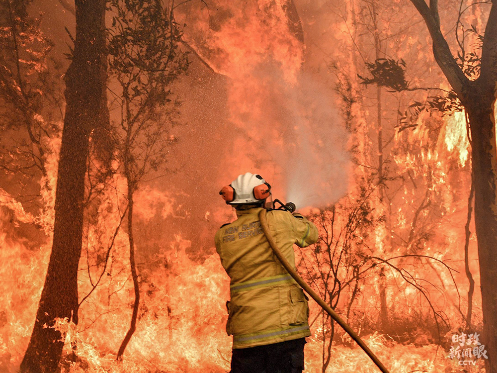 ȥ��ף��Ĵ�����ɭ�ִ��������4�����¡��ݰĴ���������ֱ�ʾ���������������ŷŵ������򽫼�����ů��Ұ�𼾽��ӳ���