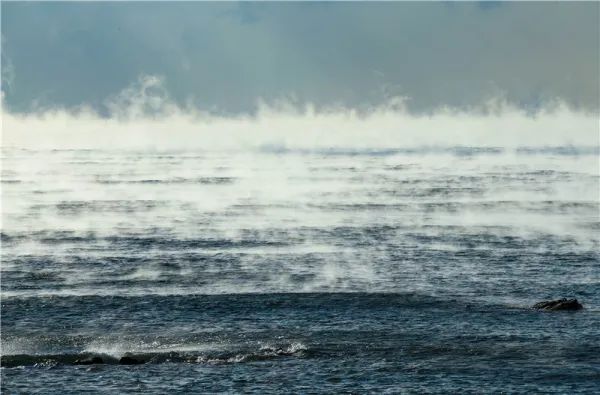 ͼ1.2021��1���ൺ����������ƽ������������Ŀ����ӹ���ů�ĺ���ʱ�ŷ�������Ӱʱ�ൺ����վ�۲⵽�ĺ����²���20�����ң���Ӱ�������ࣩ